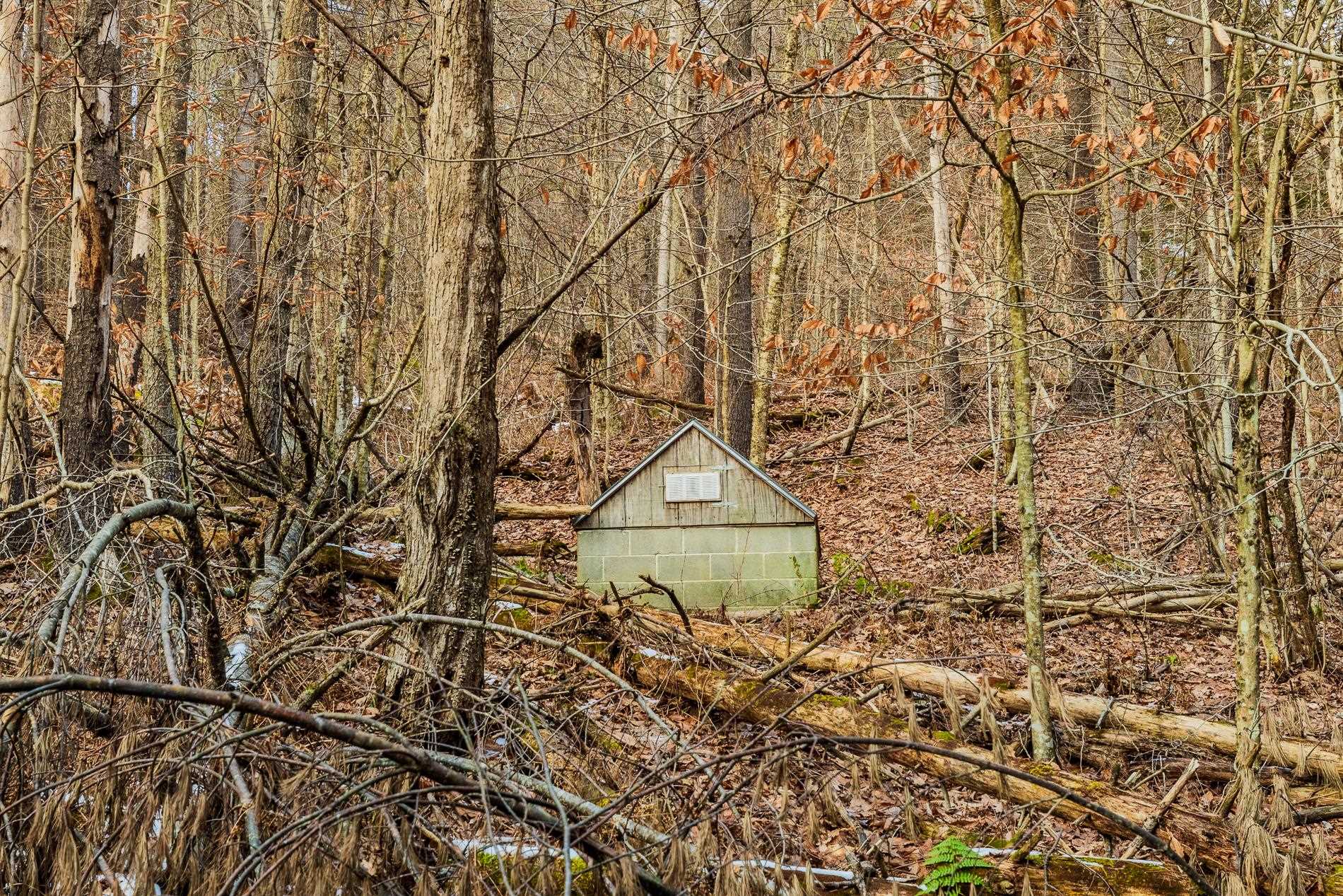 259 Howe Farm Road Jamaica, VT 05343 - Photo 6 of 14