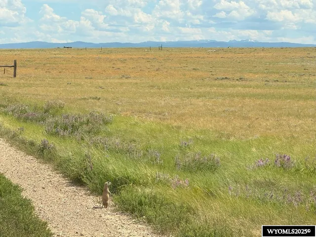 $44,900 | 84 A Nine Mile Road, Medicine Bow, WY 82329