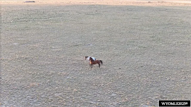 $44,900 | 84 A Nine Mile Road, Medicine Bow, WY 82329