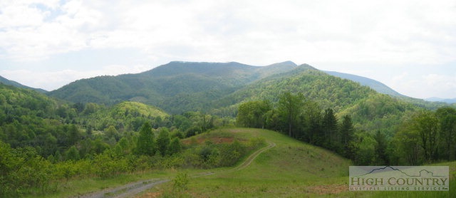 a view of a green field with mountains in the background