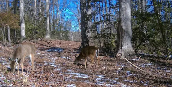 $350,000 | Lot 4 Pickens Drive, Pendleton, SC 29670