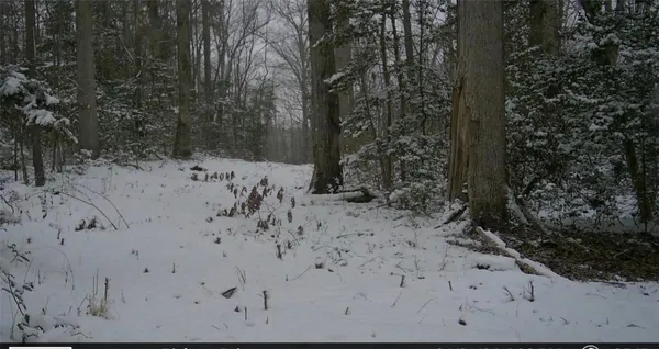 $350,000 | Lot 4 Pickens Drive, Pendleton, SC 29670