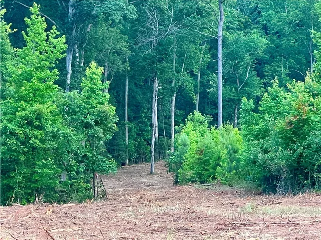 $350,000 | Lot 4 Pickens Drive, Pendleton, SC 29670