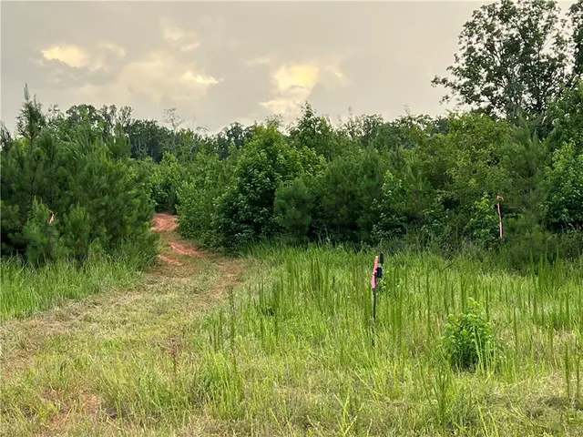 $350,000 | Lot 4 Pickens Drive, Pendleton, SC 29670