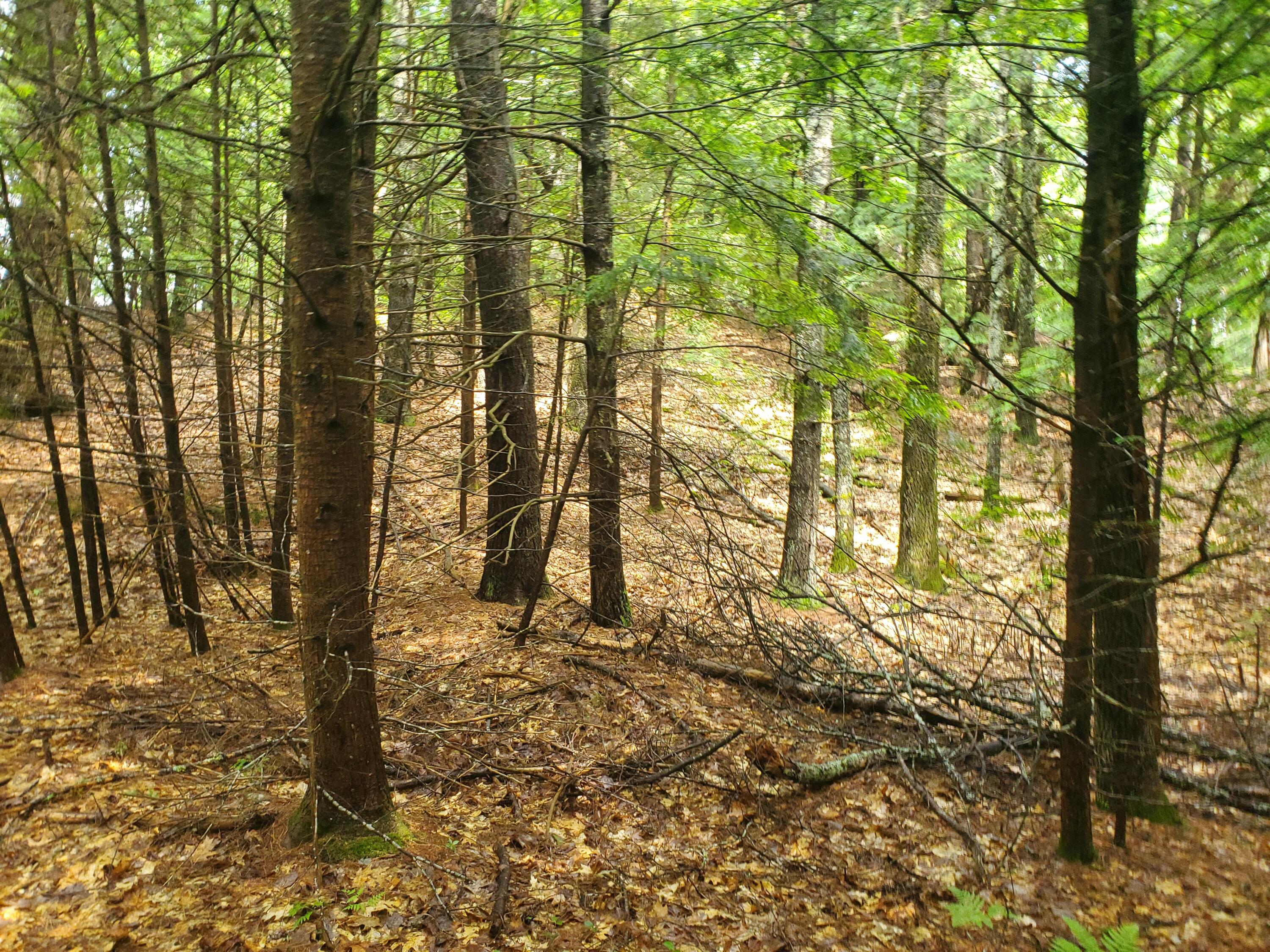 Lot #36 Beaver Brook Road Limerick, ME 04048 - Photo 3 of 18 20260626_134511