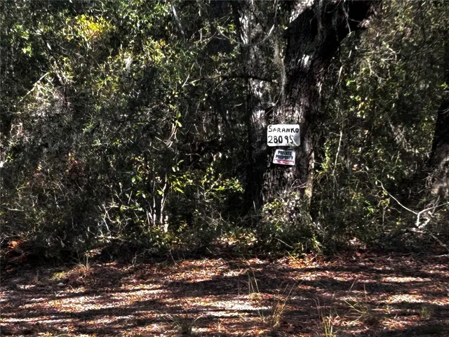 a view of a tree in front of a house
