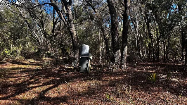 a view of outdoor space with deck and trees