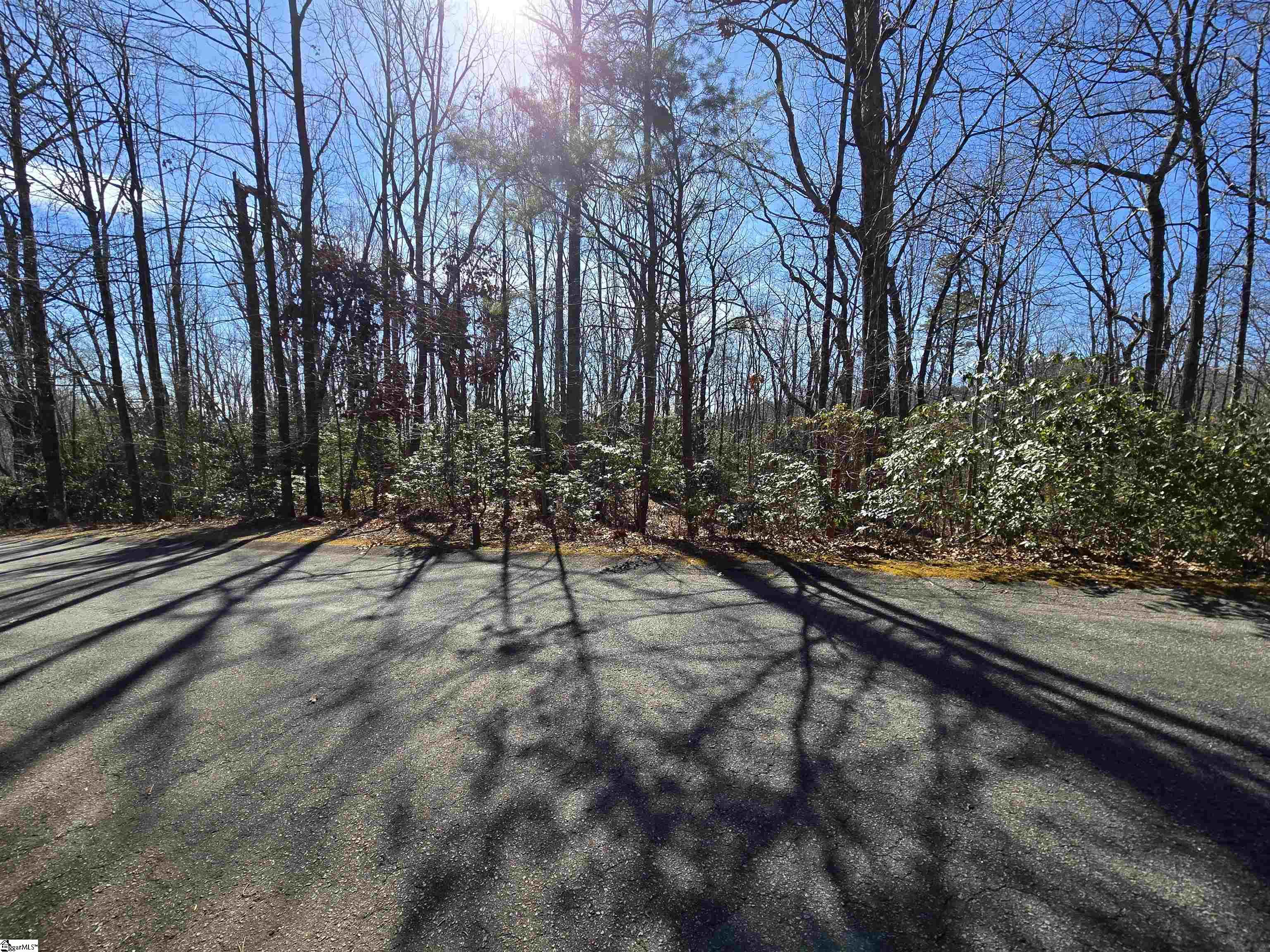 120 Birchbend Cleveland, SC 29635 - Photo 1 of 10