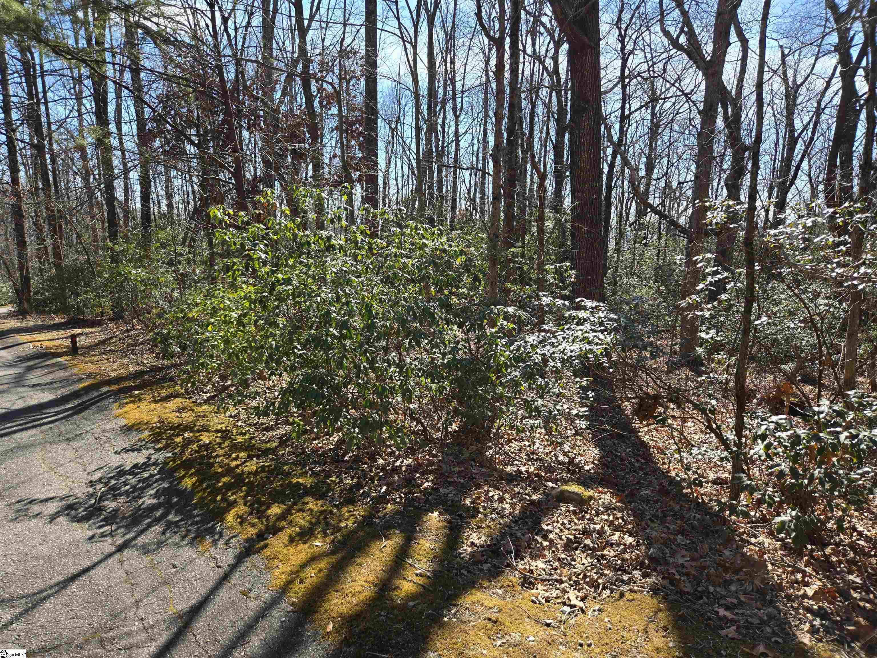 120 Birchbend Cleveland, SC 29635 - Photo 2 of 10