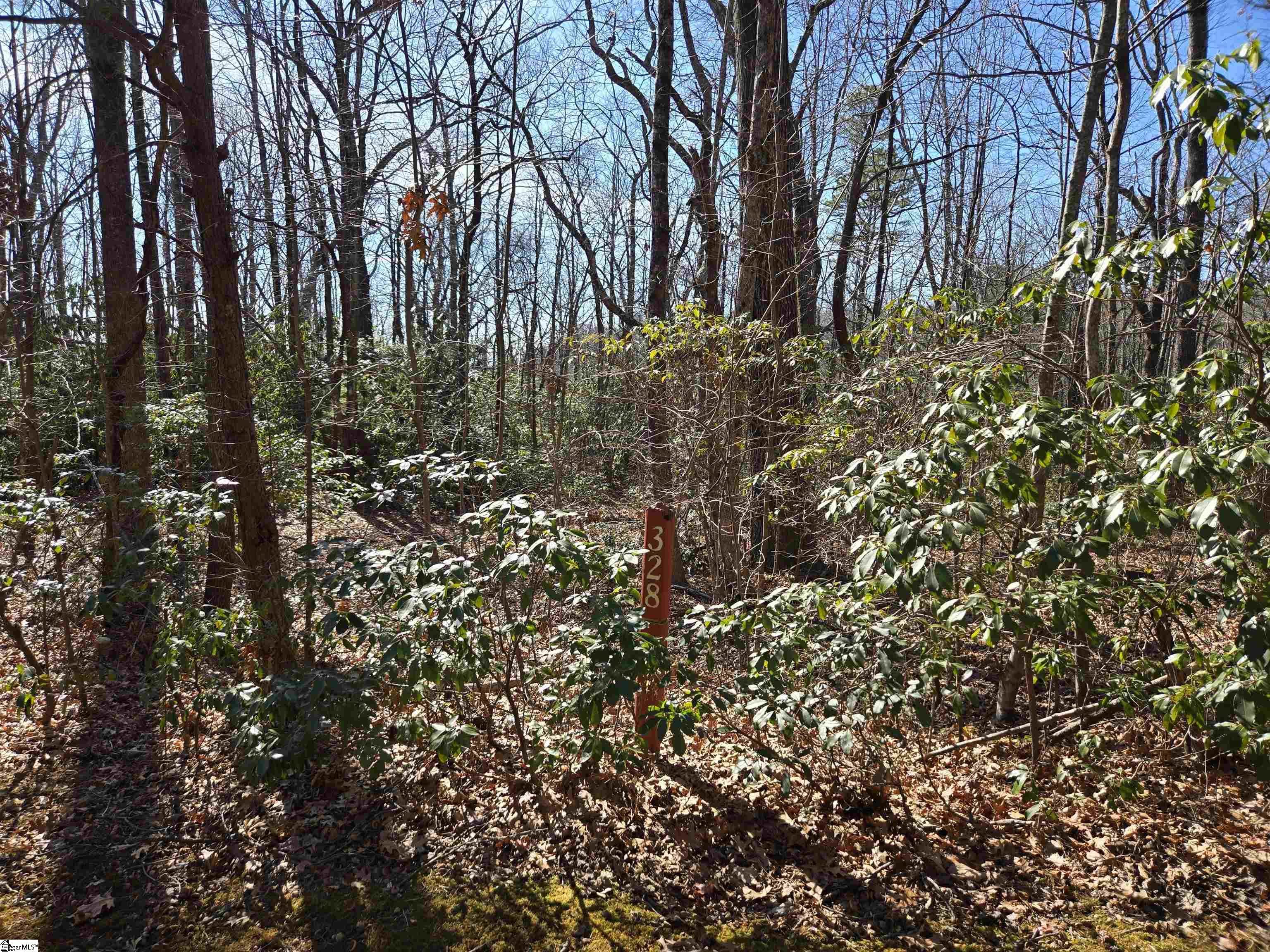 120 Birchbend Cleveland, SC 29635 - Photo 3 of 10