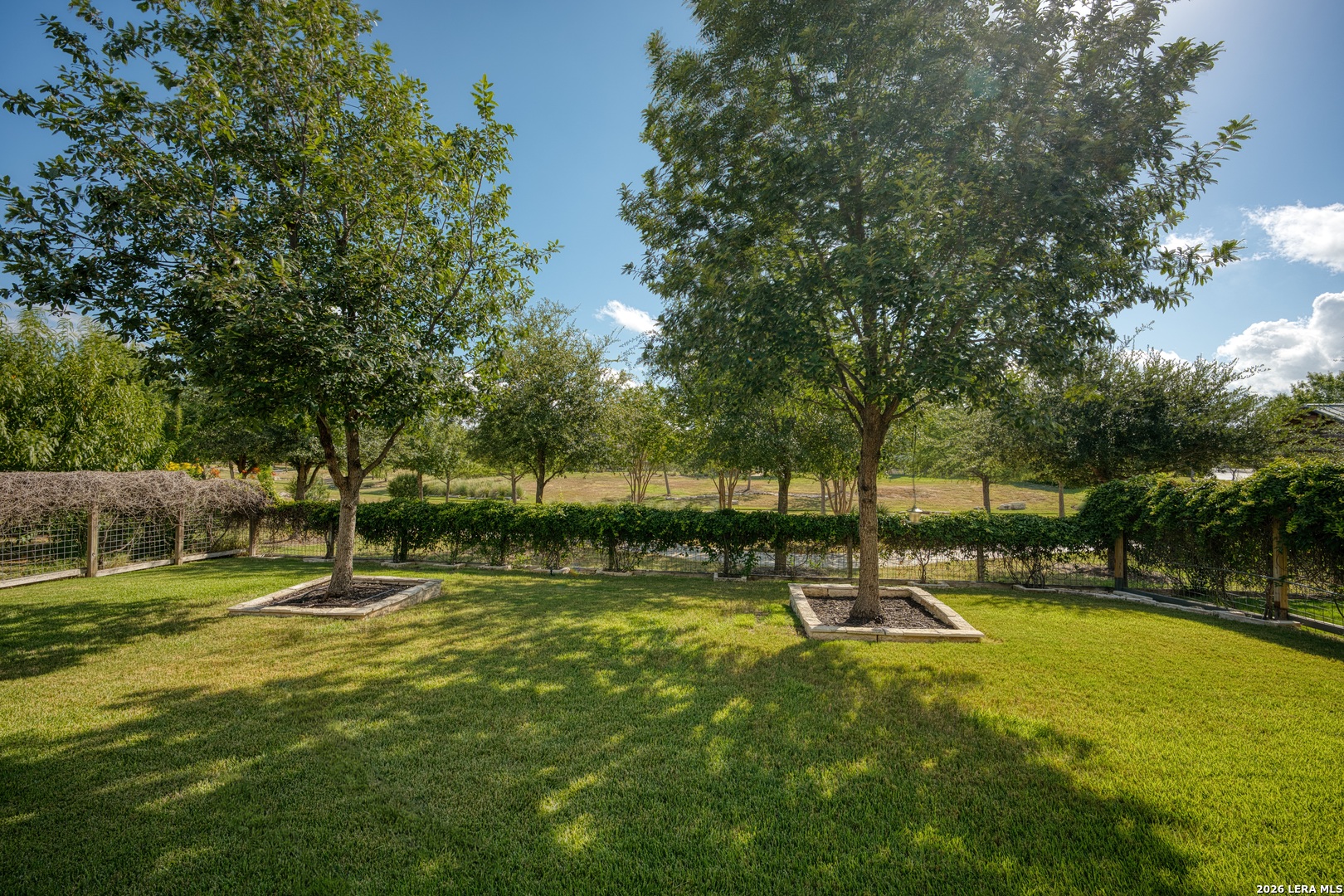9108 Trail Stem Schertz, TX 78154 - Photo 5 of 26 a view of a park with large trees