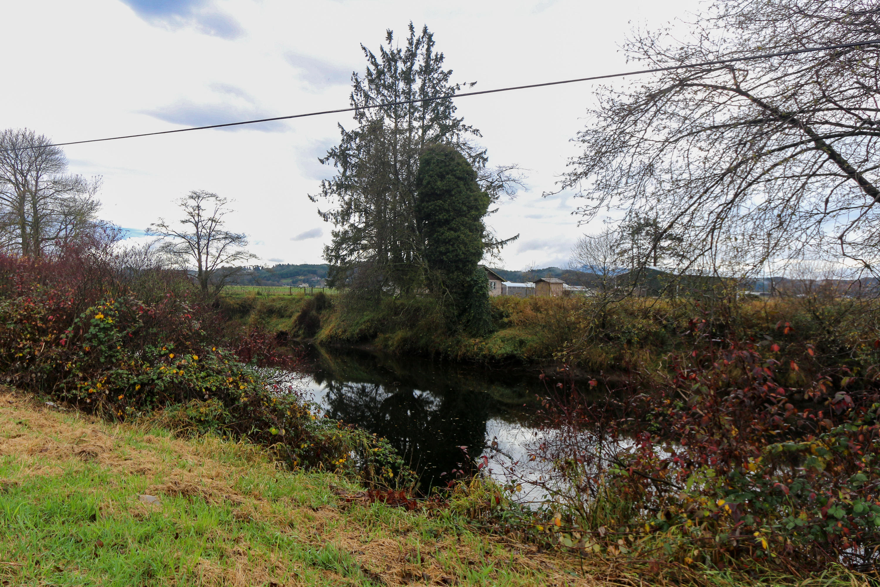 2210 Nielsen Road Tillamook, OR 97141 - Photo 31 of 32 IMG_9912