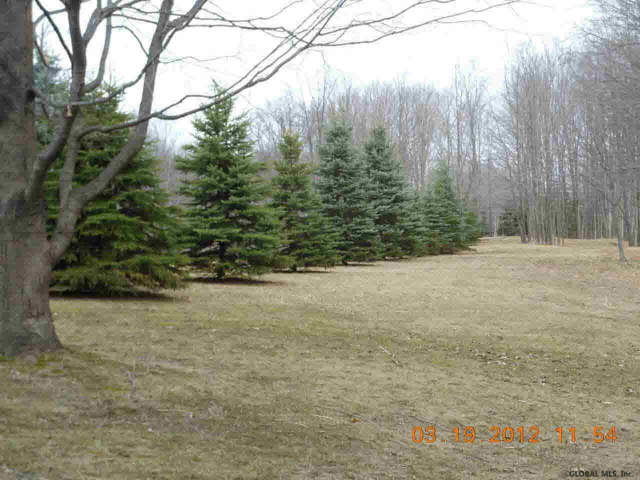 533 Scott Hill Road Hartford, NY 12809 - Photo 4 of 12 Photo 4