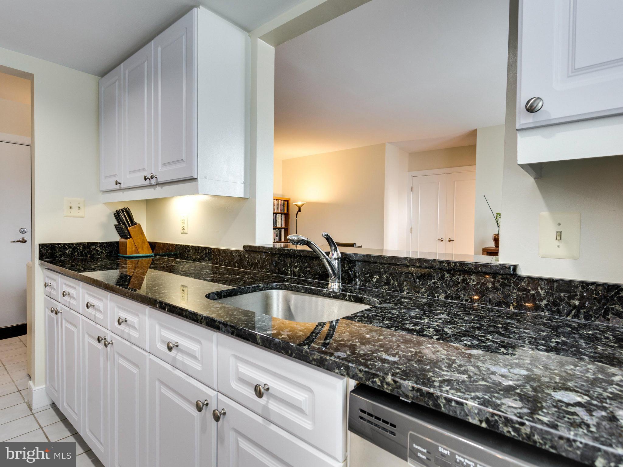 1727 R Street Northwest, Unit 504 Washington, DC 20009 - Photo 12 of 30 Kitchen