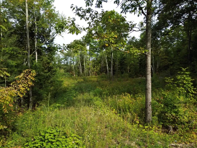 $65,000 | Lot 75 Bassett Road, Winslow, ME 04901
