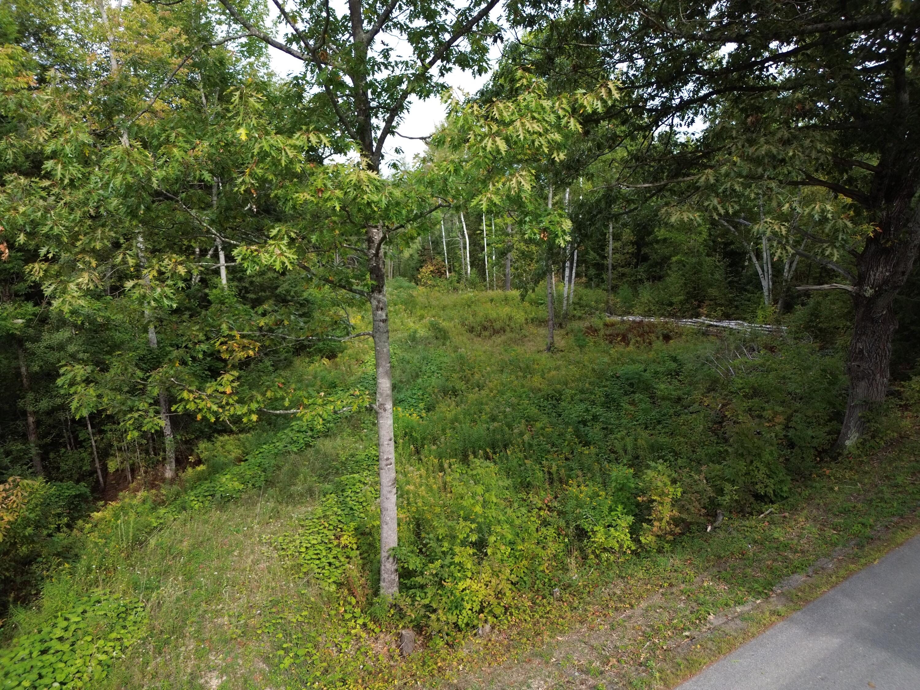 Lot 75 Bassett Road Winslow, ME 04901 - Photo 5 of 6 DJI_0348