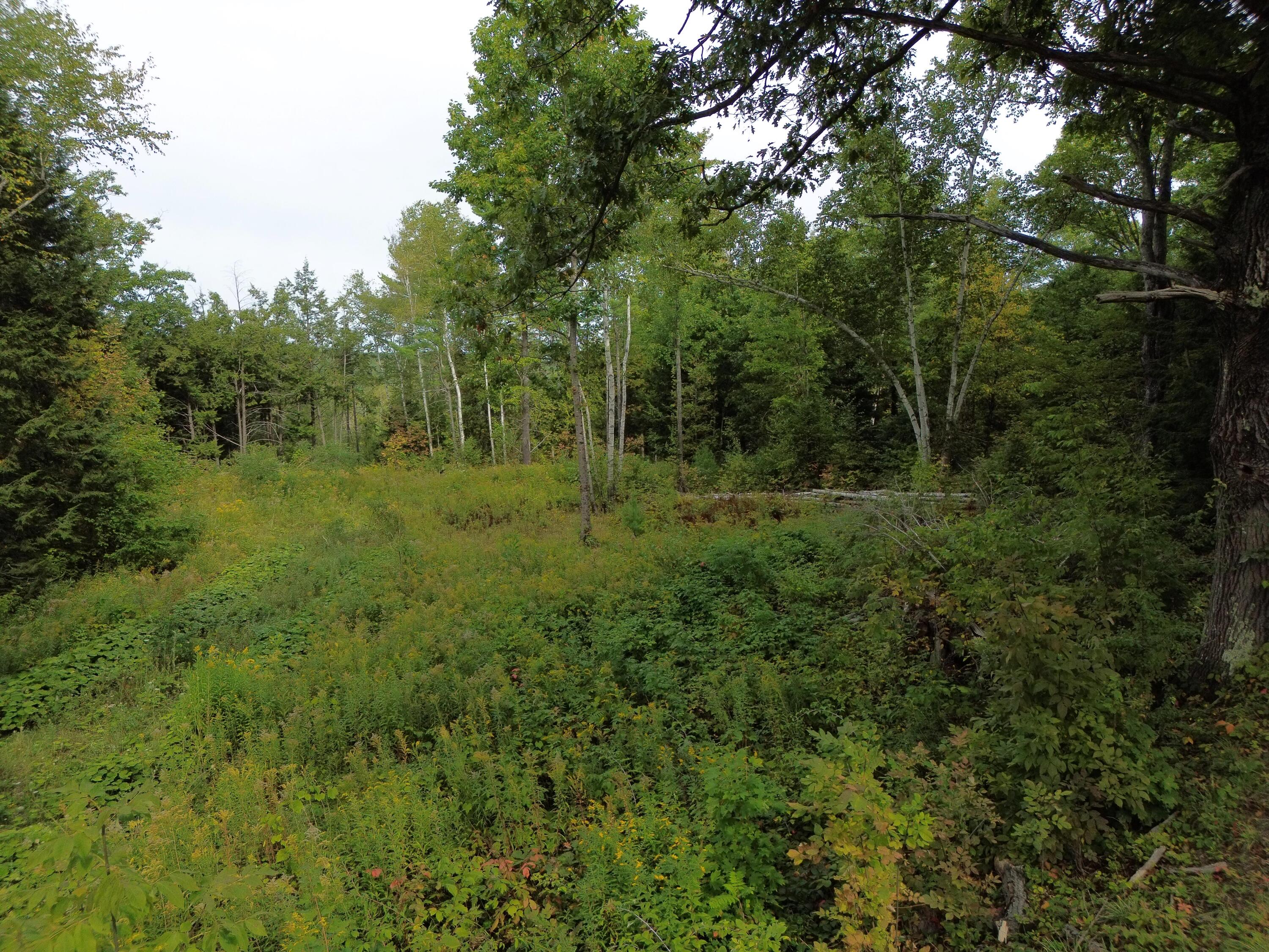 Lot 75 Bassett Road Winslow, ME 04901 - Photo 6 of 6 DJI_0349