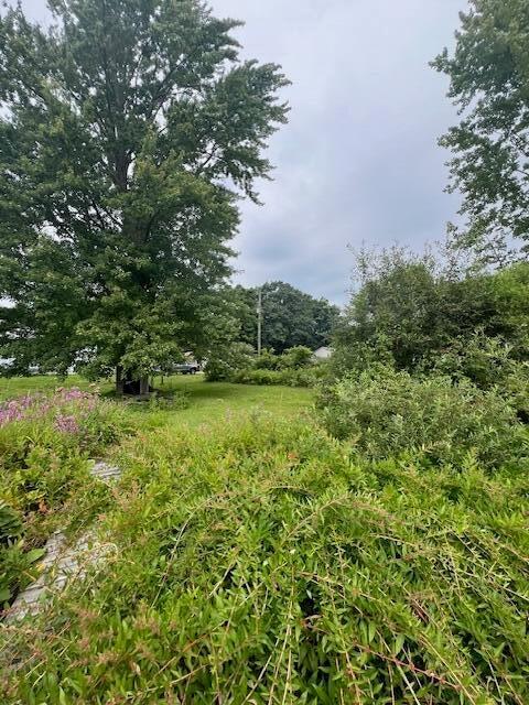 0 E Lake Hesperia, MI 49421 - Photo 5 of 5