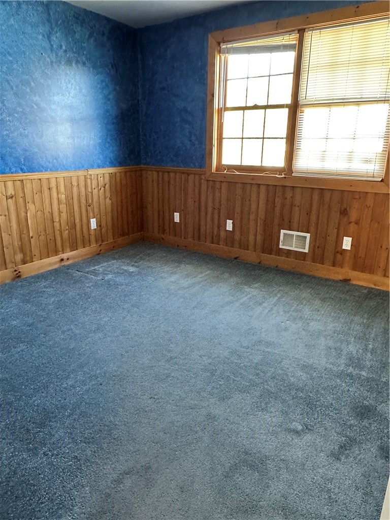 3474 Danilowicz Road Tyrone, NY 14815 - Photo 31 of 46
