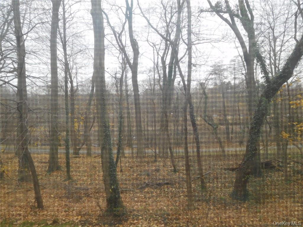 4 Consulate Drive, Unit 1M Tuckahoe, NY 10707 - Photo 15 of 17 a bathroom with a shower