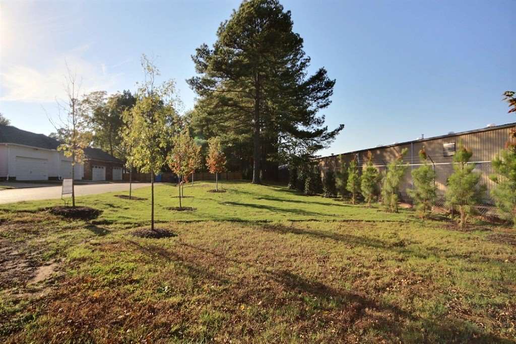 186 East South Street, Unit 1 Collierville, TN 38017 - Photo 22 of 22 a view of a yard with a tree