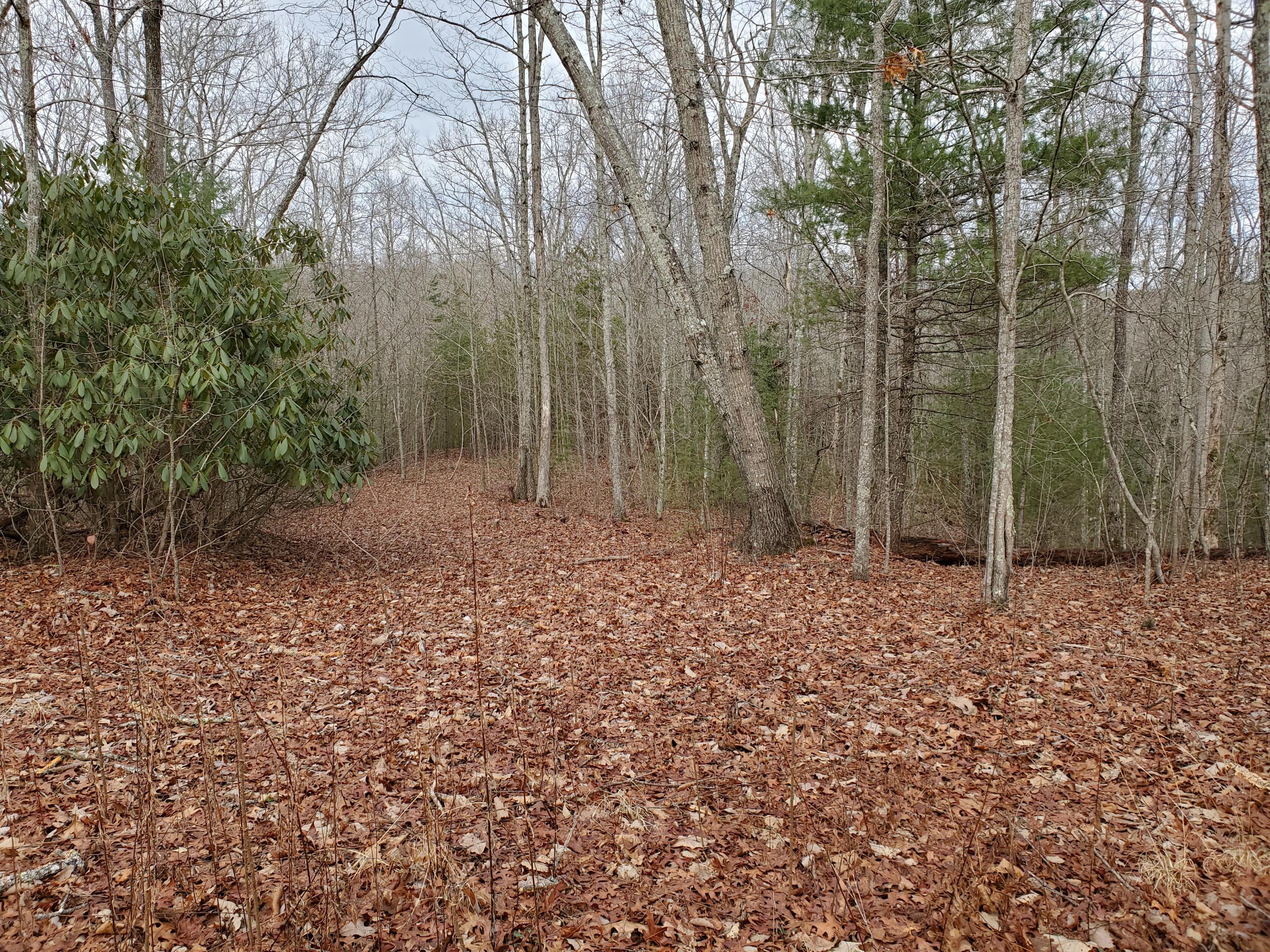 Yellow Nugget Road Tellico Plains, TN 37385 - Photo 1 of 6 20210117_123423