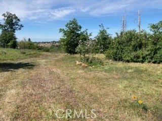 5291 Bennett Road Paradise, CA 95969 - Photo 5 of 15