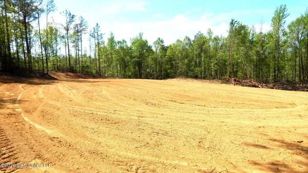 $56,072 | 60 Nelia Road, Grenada, MS 38901