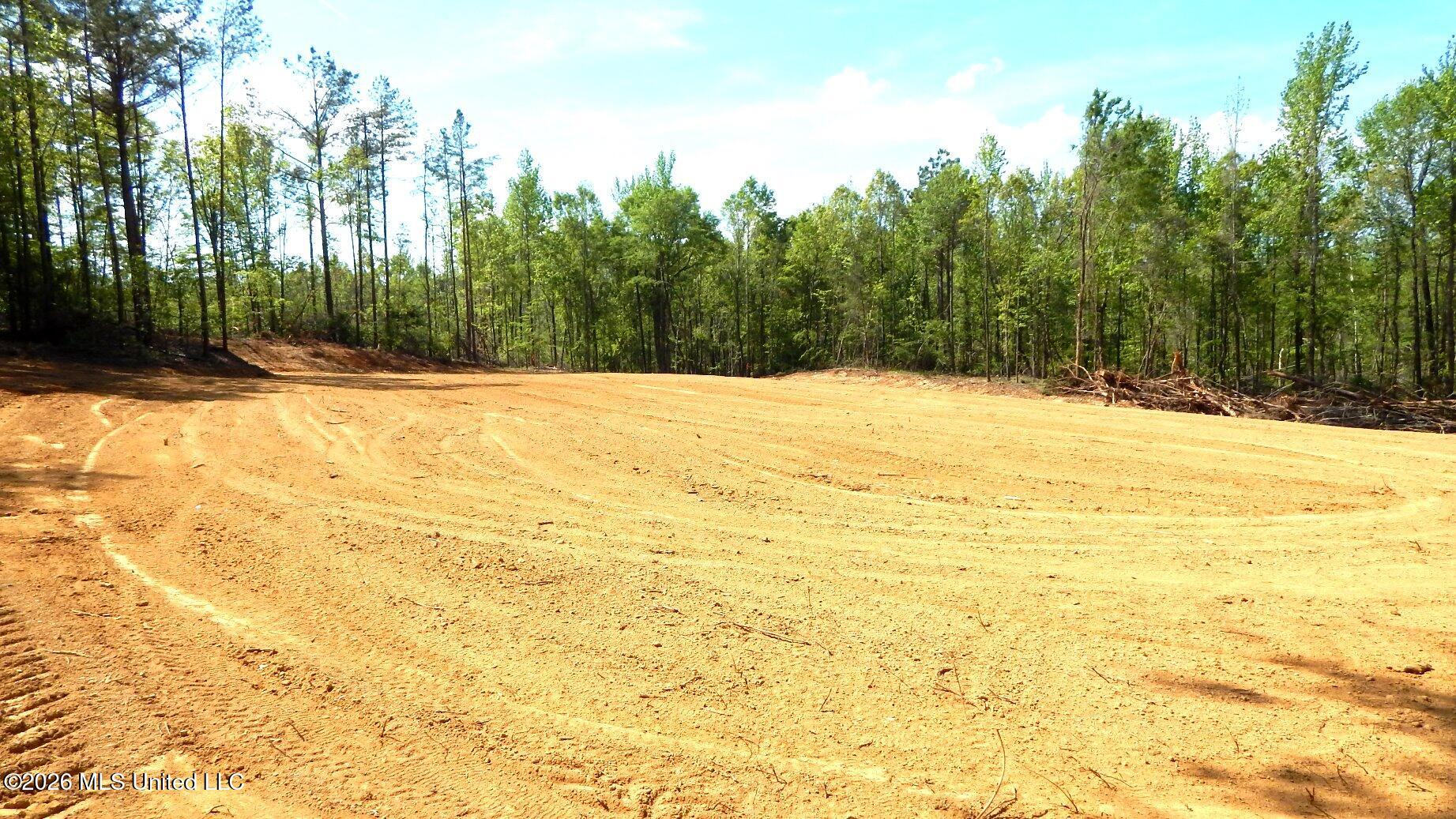 60 Nelia Road Grenada, MS 38901 - Photo 4 of 13 DSCN7414