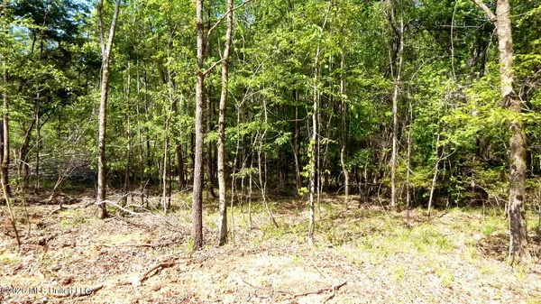 $56,072 | 60 Nelia Road, Grenada, MS 38901