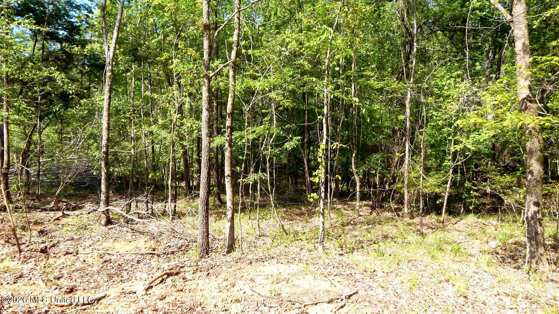 60 Nelia Road Grenada, MS 38901 - Photo 6 of 13 DSCN7416