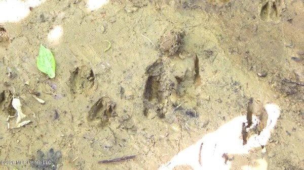 $56,072 | 60 Nelia Road, Grenada, MS 38901