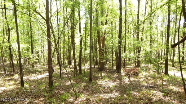 $56,072 | 60 Nelia Road, Grenada, MS 38901