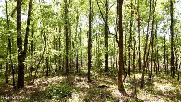 $56,072 | 60 Nelia Road, Grenada, MS 38901