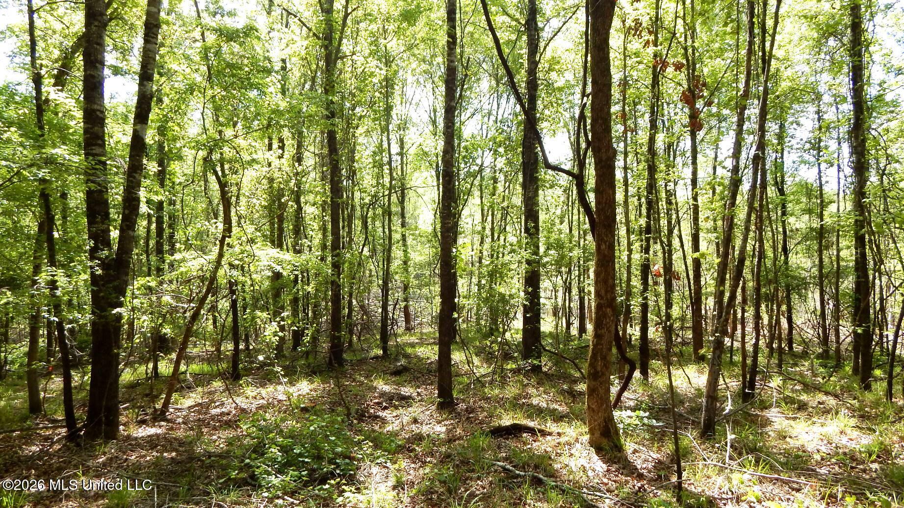 60 Nelia Road Grenada, MS 38901 - Photo 10 of 13 DSCN7420