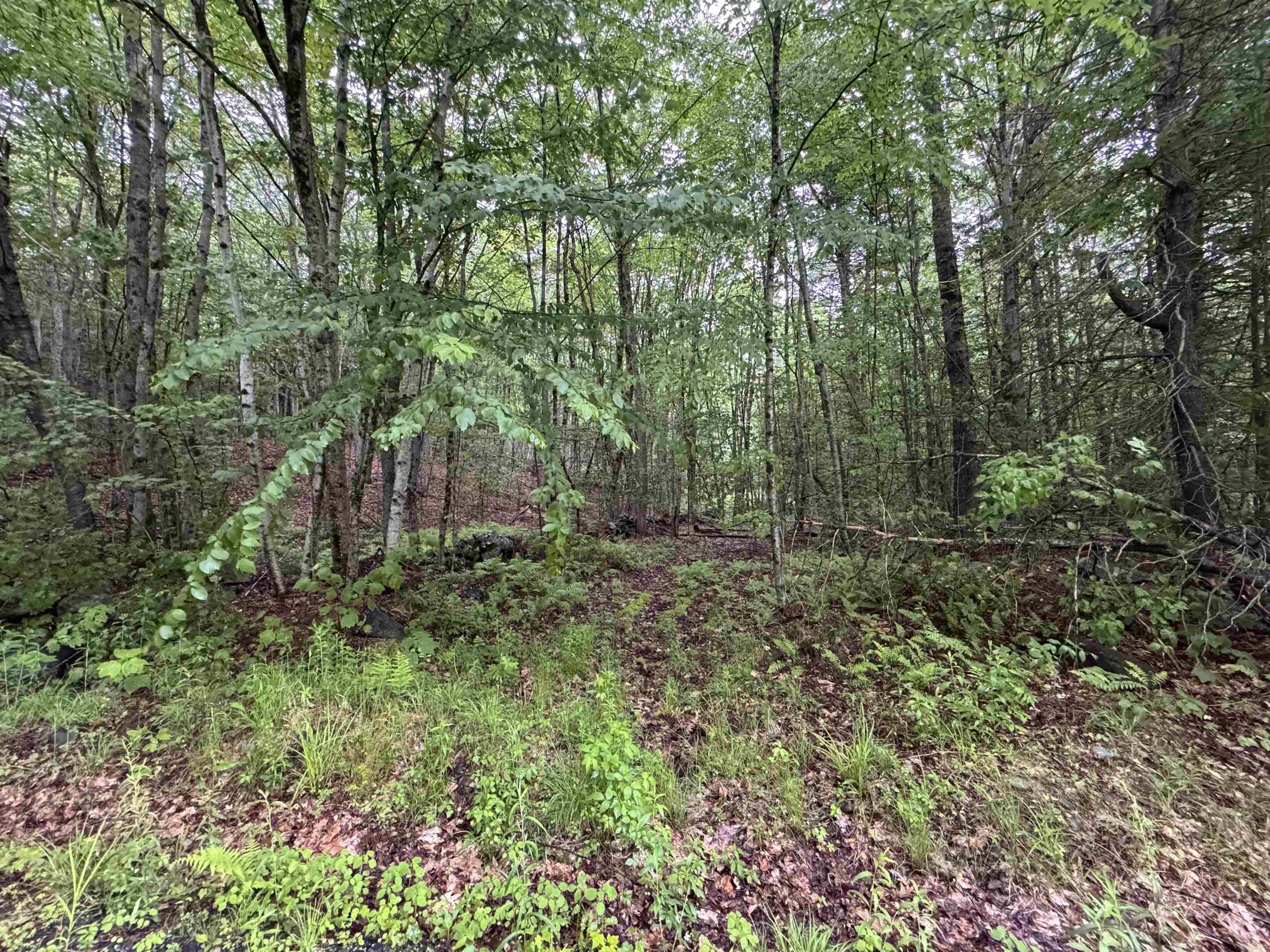 101 Gilsum Road, Unit 2 Sullivan, NH 03445 - Photo 6 of 7