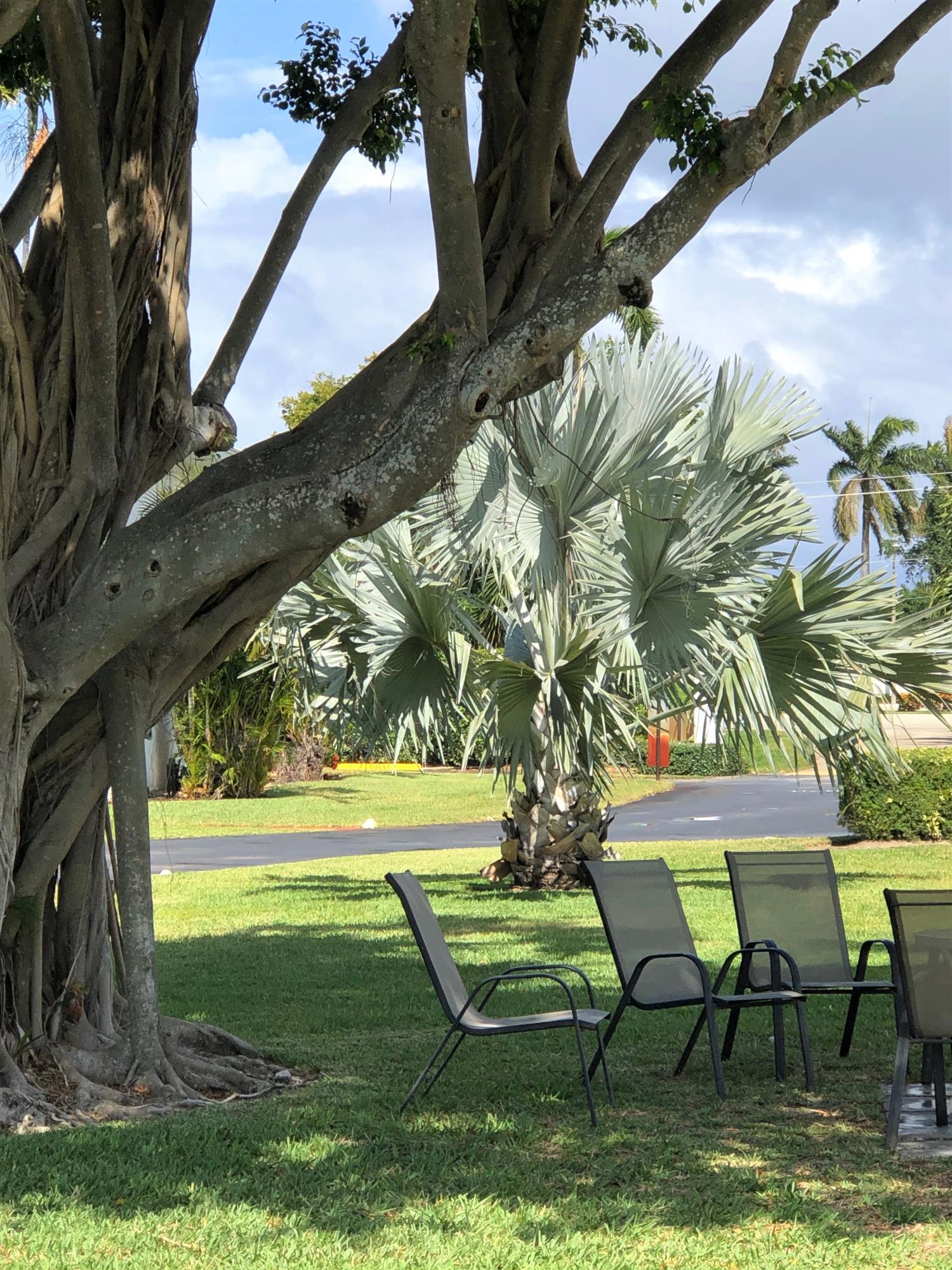 25 Southeast 13th Street, Unit A1 Boca Raton, FL 33432 - Photo 20 of 24 RELAX IN THE COURTYARD