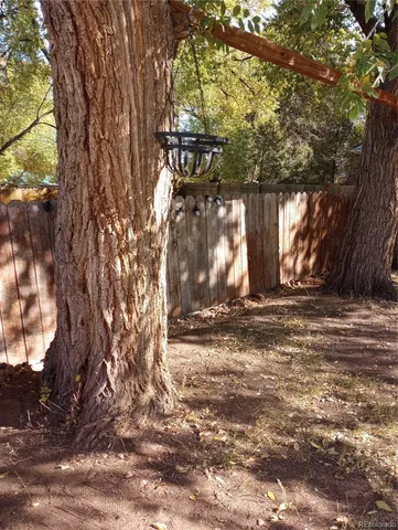 a view of a yard with large trees