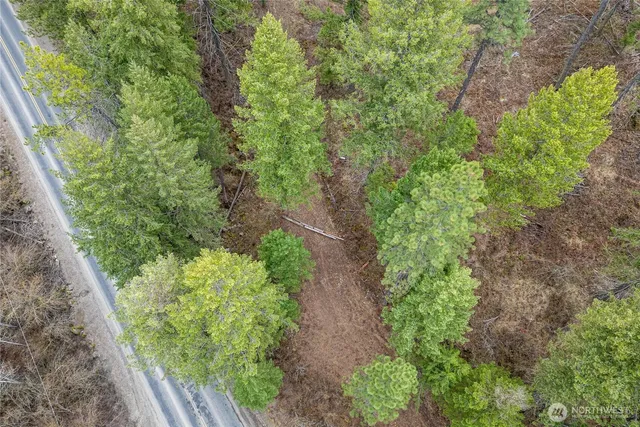 a view of a garden with plants