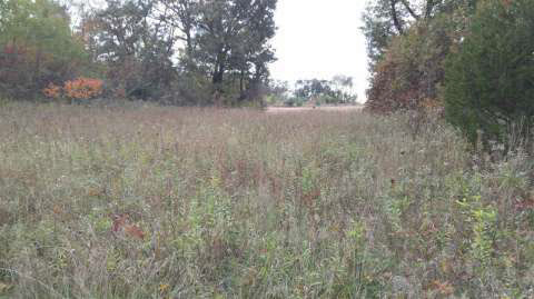 Vl Rogers Road, Unit VL Parma, MI 49269 - Photo 6 of 30