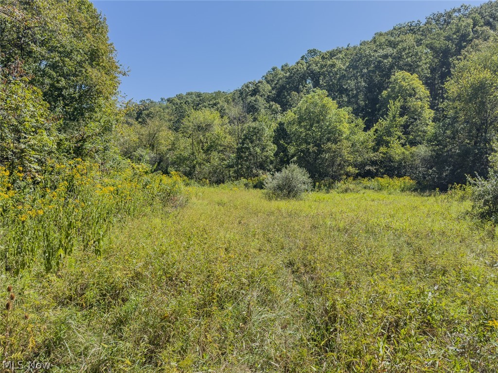 0 Brewer Road Cadiz, OH 43907 - Photo 11 of 37 View of wooded area