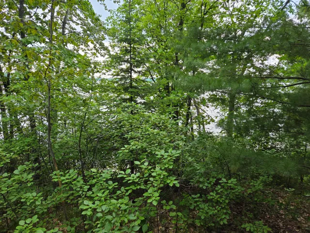 $485,000 | Tbd Andrusia Road Southeast, Unit LOT 7 BLOCK 1, Cass Lake, MN 56633