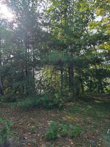$485,000 | Tbd Andrusia Road Southeast, Unit LOT 7 BLOCK 1, Cass Lake, MN 56633