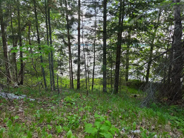 $485,000 | Tbd Andrusia Road Southeast, Unit LOT 7 BLOCK 1, Cass Lake, MN 56633