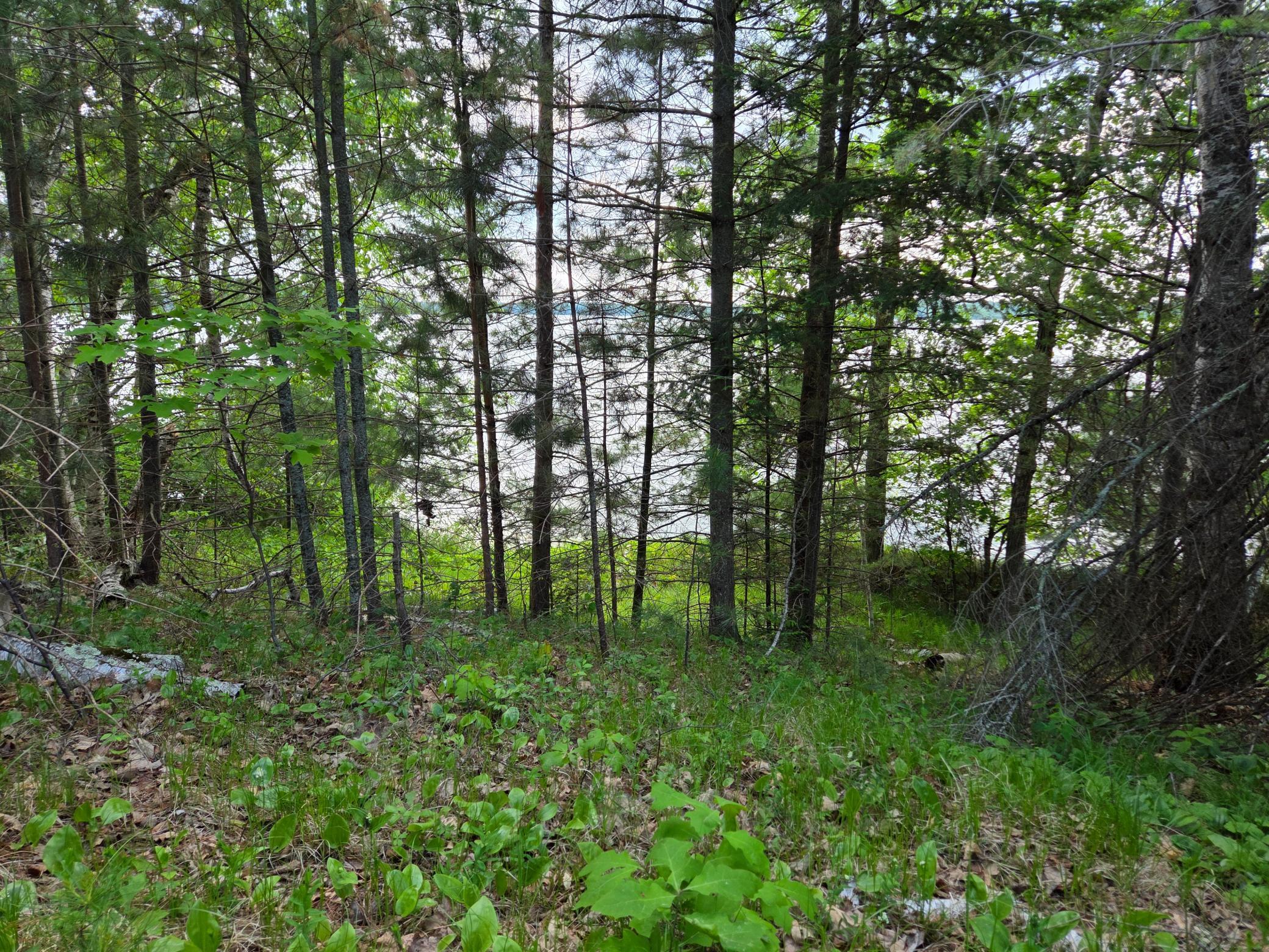 Tbd Andrusia Road Southeast, Unit LOT 7 BLOCK 1 Cass Lake, MN 56633 - Photo 8 of 15