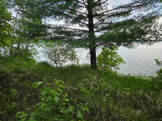 $485,000 | Tbd Andrusia Road Southeast, Unit LOT 7 BLOCK 1, Cass Lake, MN 56633