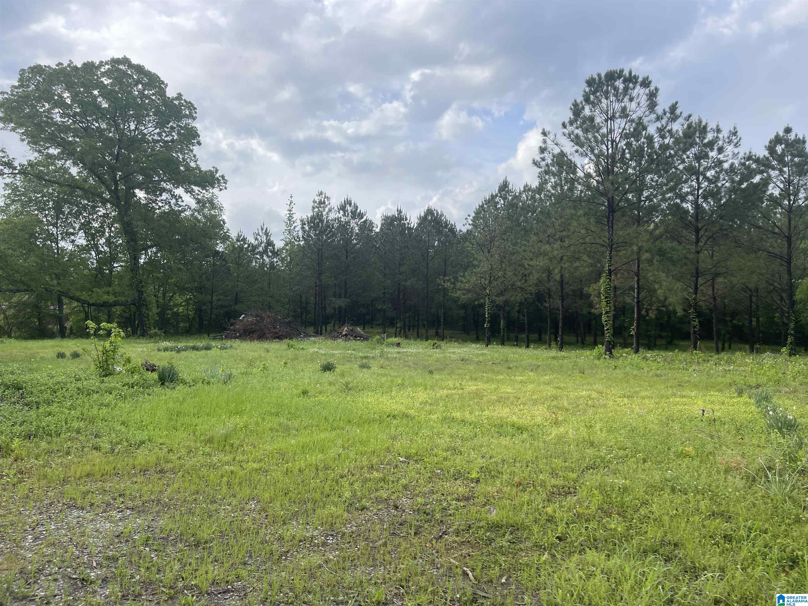 2760 Mitchellville Road, Unit 2 75 Lincoln, AL 35096 - Photo 1 of 11
