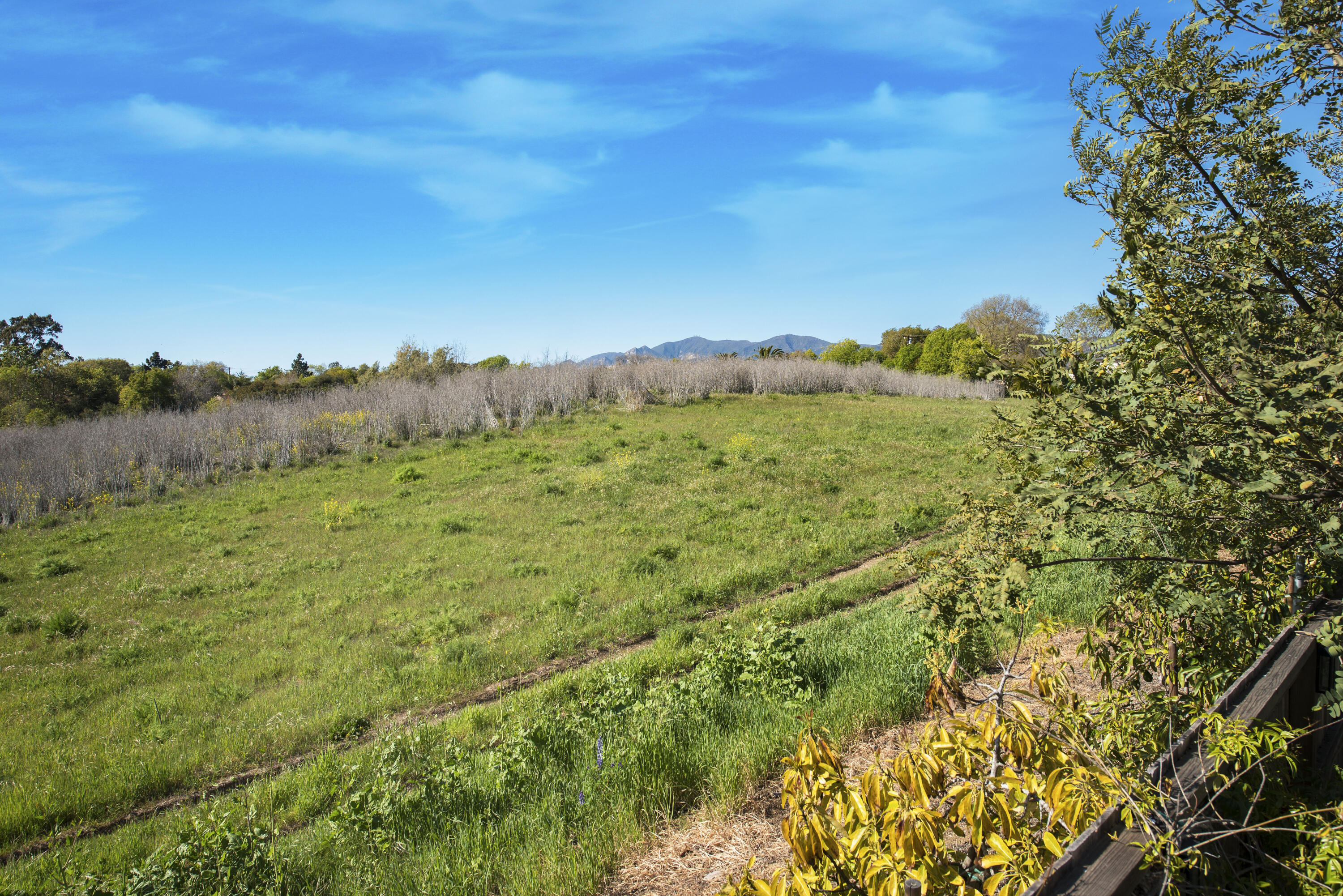 7 Baker Lane Goleta, CA 93117 - Photo 18 of 21 Adjacent Meadow