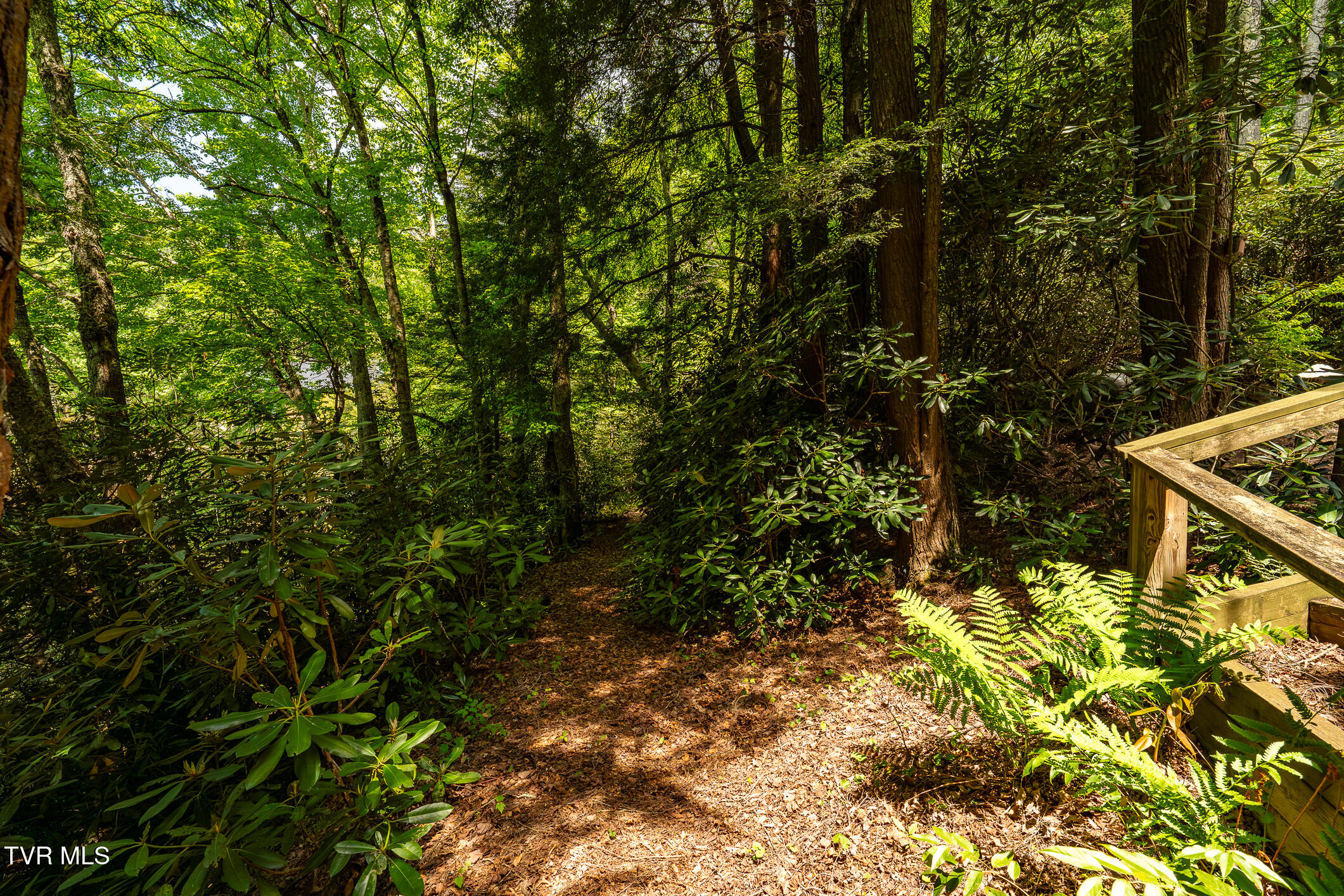 170 Ripshin Lake Road Roan Mountain, TN 37687 - Photo 55 of 64 170 Ripshin Lake Rd (26 of 73)