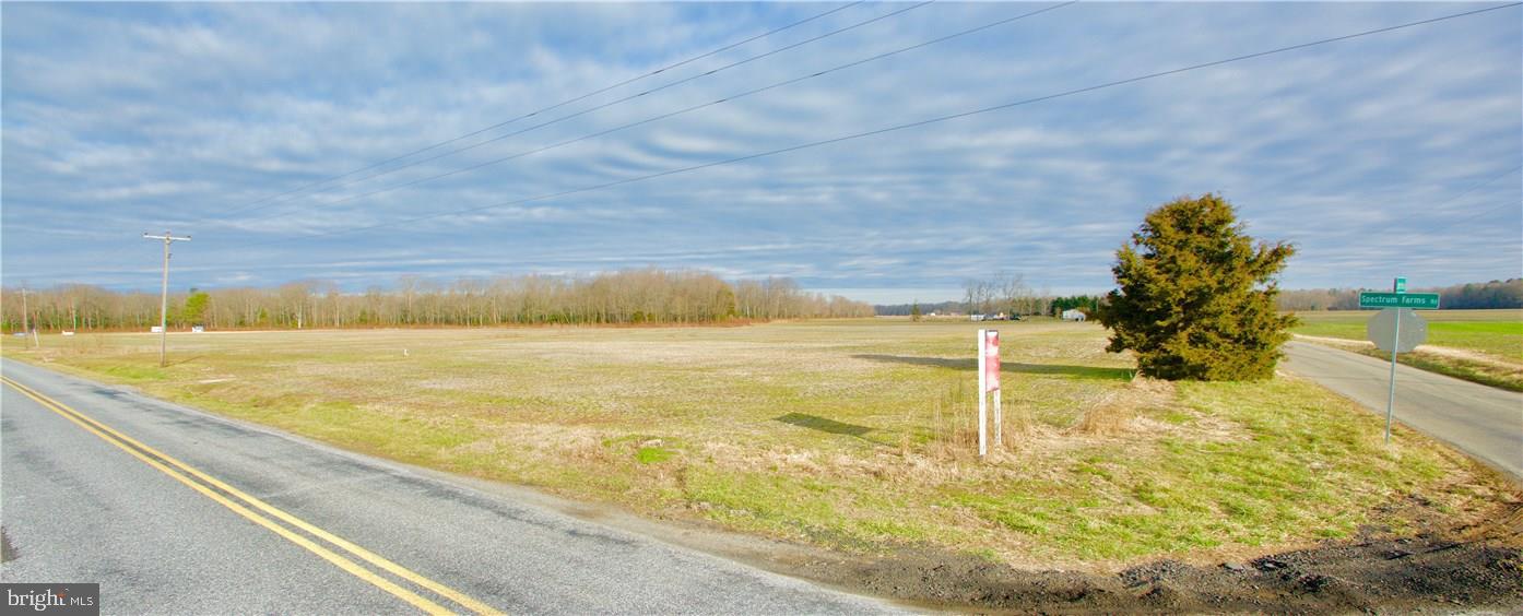 3441 Spectrum Farms Road Felton, DE 19943 - Photo 1 of 7 Gallery Image 1